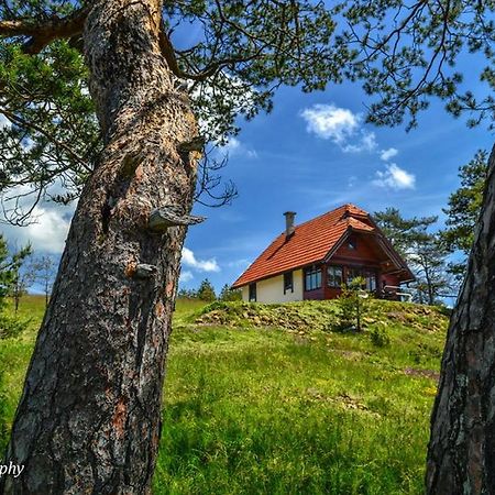 Cottage Vodice Zlatibor Exterior foto
