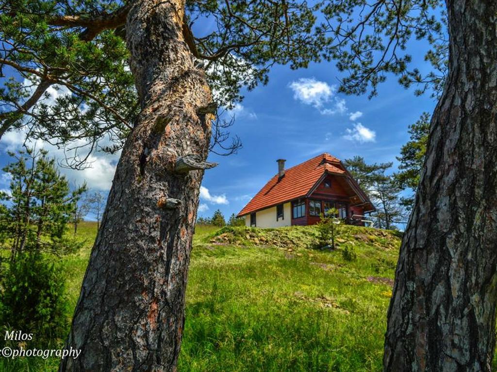 Cottage Vodice Zlatibor Exterior foto