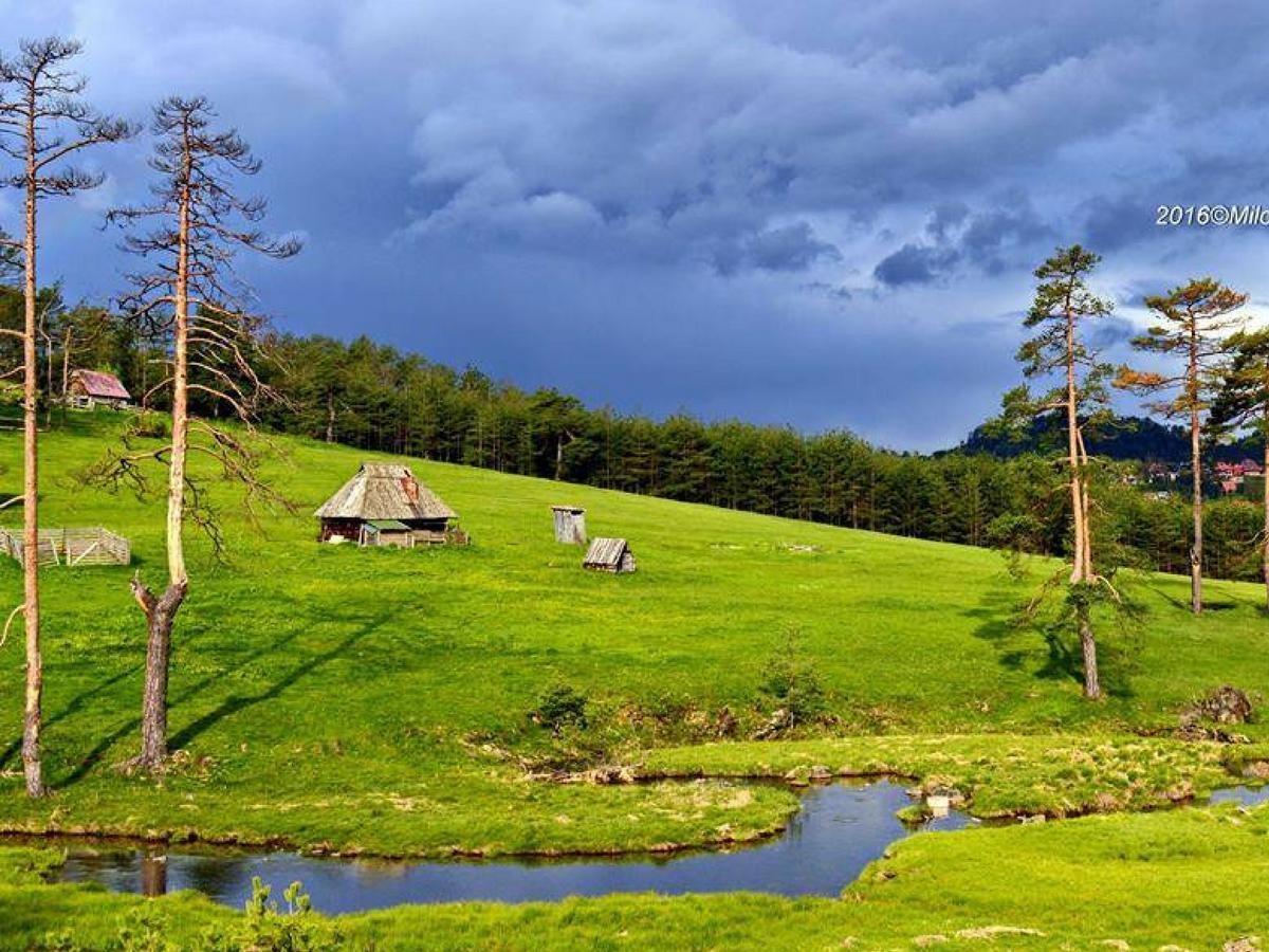 Cottage Vodice Zlatibor Exterior foto